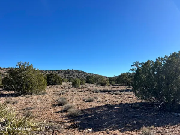 a view of a road with a yard