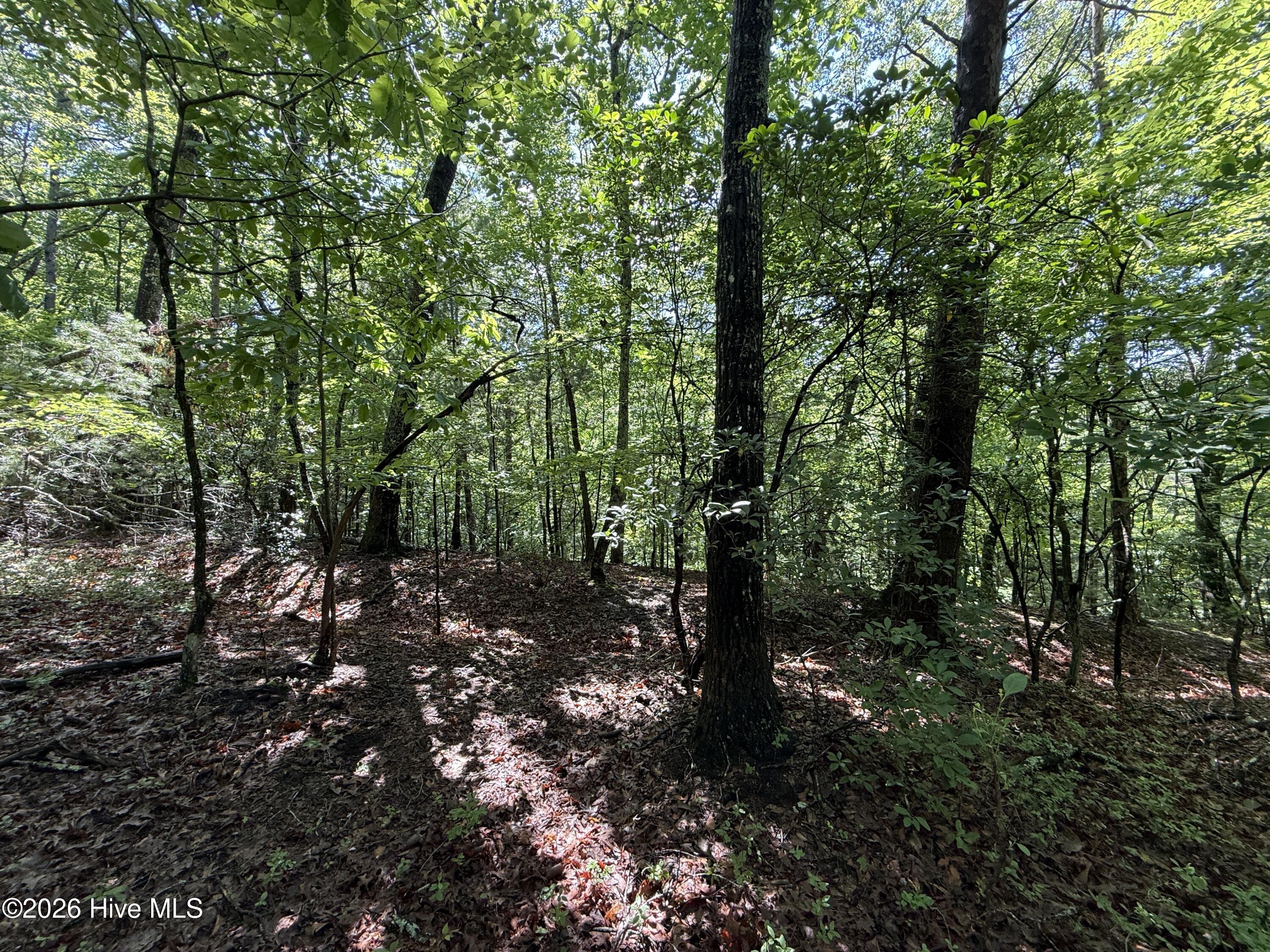 81 Roberts Road Murphy, NC 28906 - Photo 8 of 9