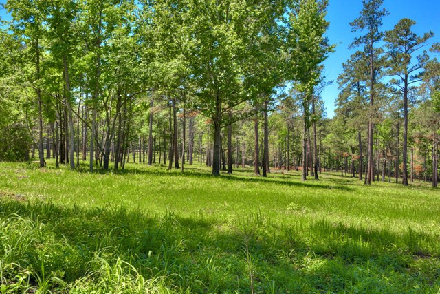 11864 Burtons Ferry Martin, SC 29836 - Photo 39 of 46