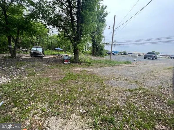 a view of yard with tree