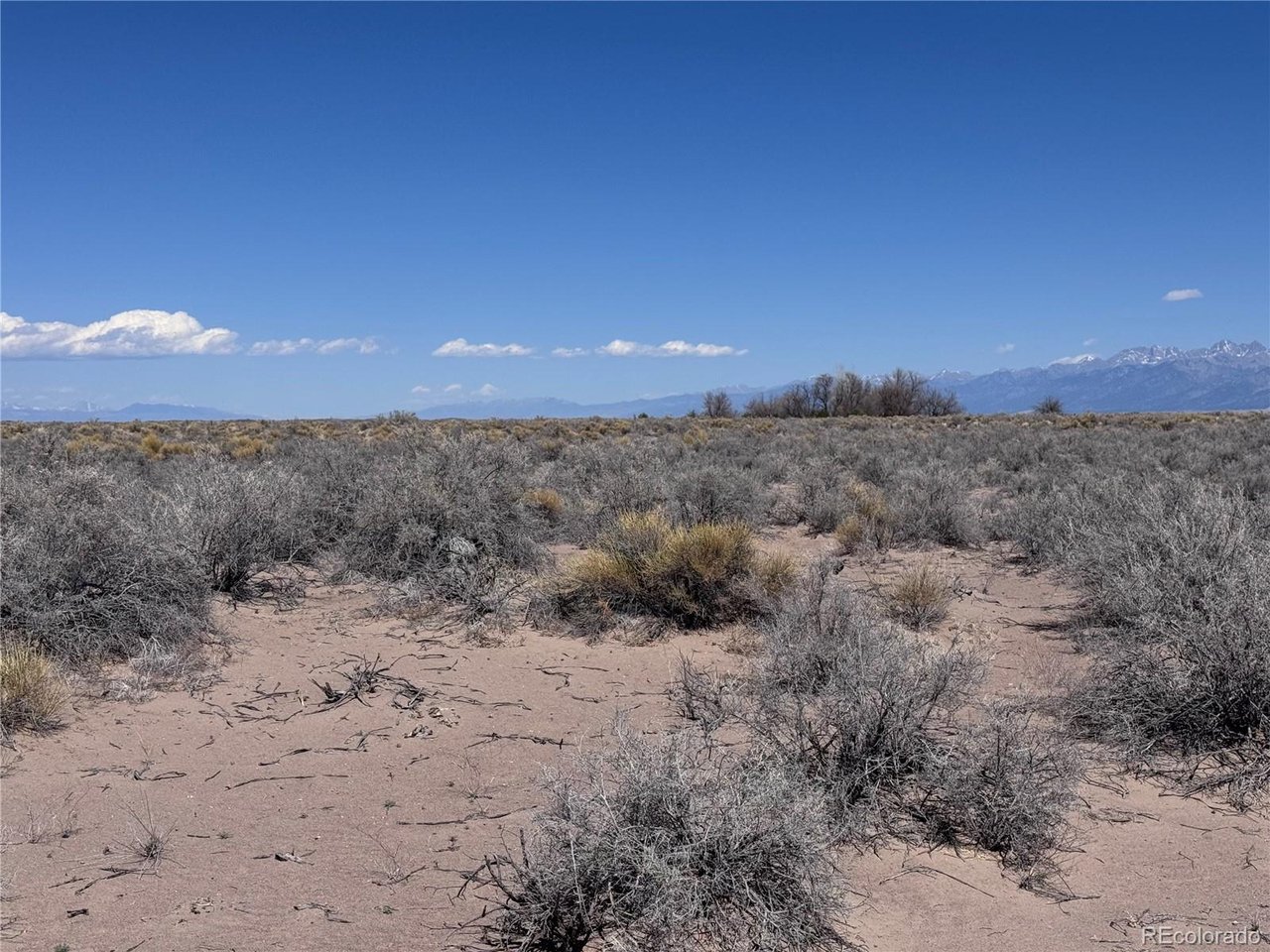 11 2nd Street Alamosa, CO 81101 - Photo 3 of 9