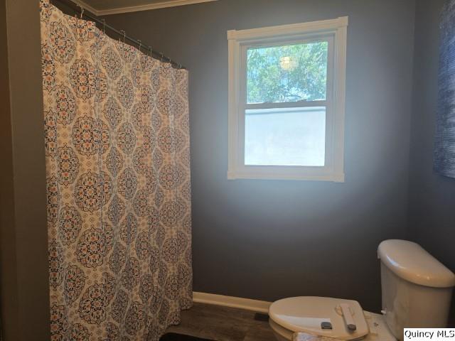 1541 Elm Street Hamilton, IL 62341 - Photo 15 of 31 a white toilet sitting next to a window in a bathroom