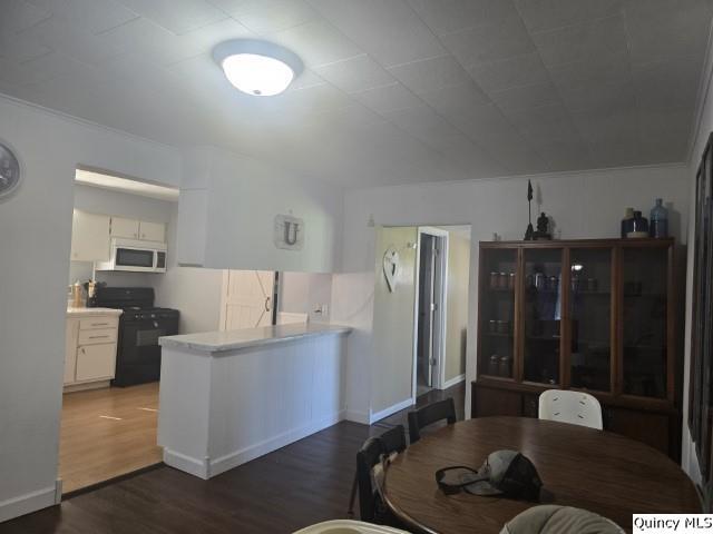 1541 Elm Street Hamilton, IL 62341 - Photo 8 of 31 a living room with furniture and wooden floor