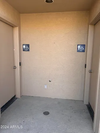 a big yard with lots of trees