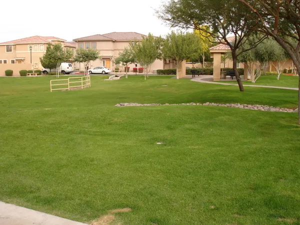 a view of a park with large trees