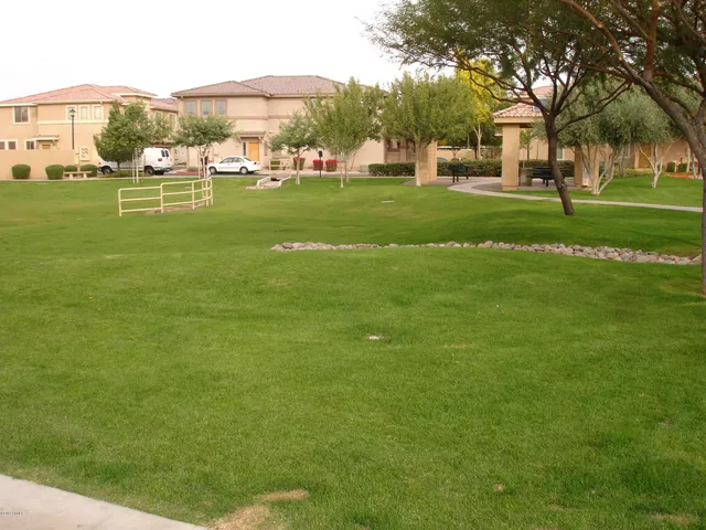 a view of a park with large trees