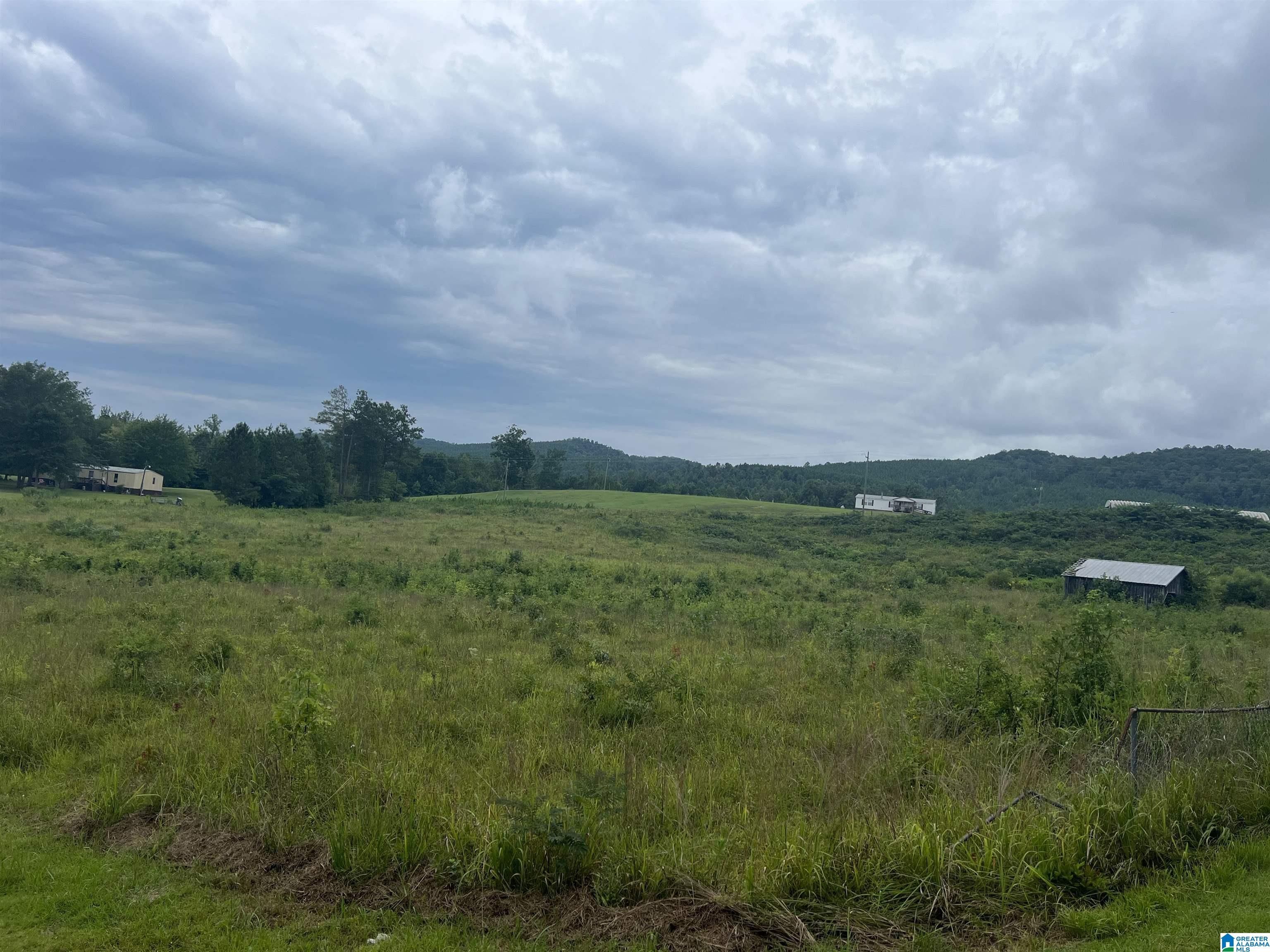 0 Journeys End Road Ashville, AL 35953 - Photo 3 of 9