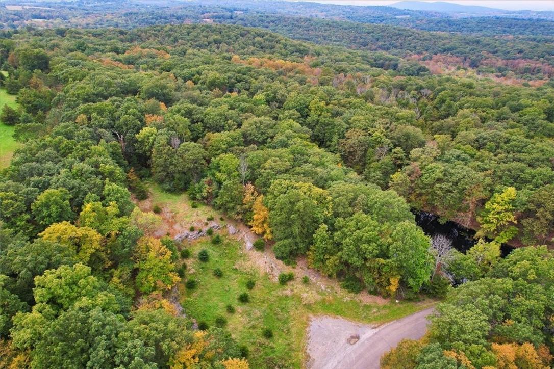 a view of a forest with a street
