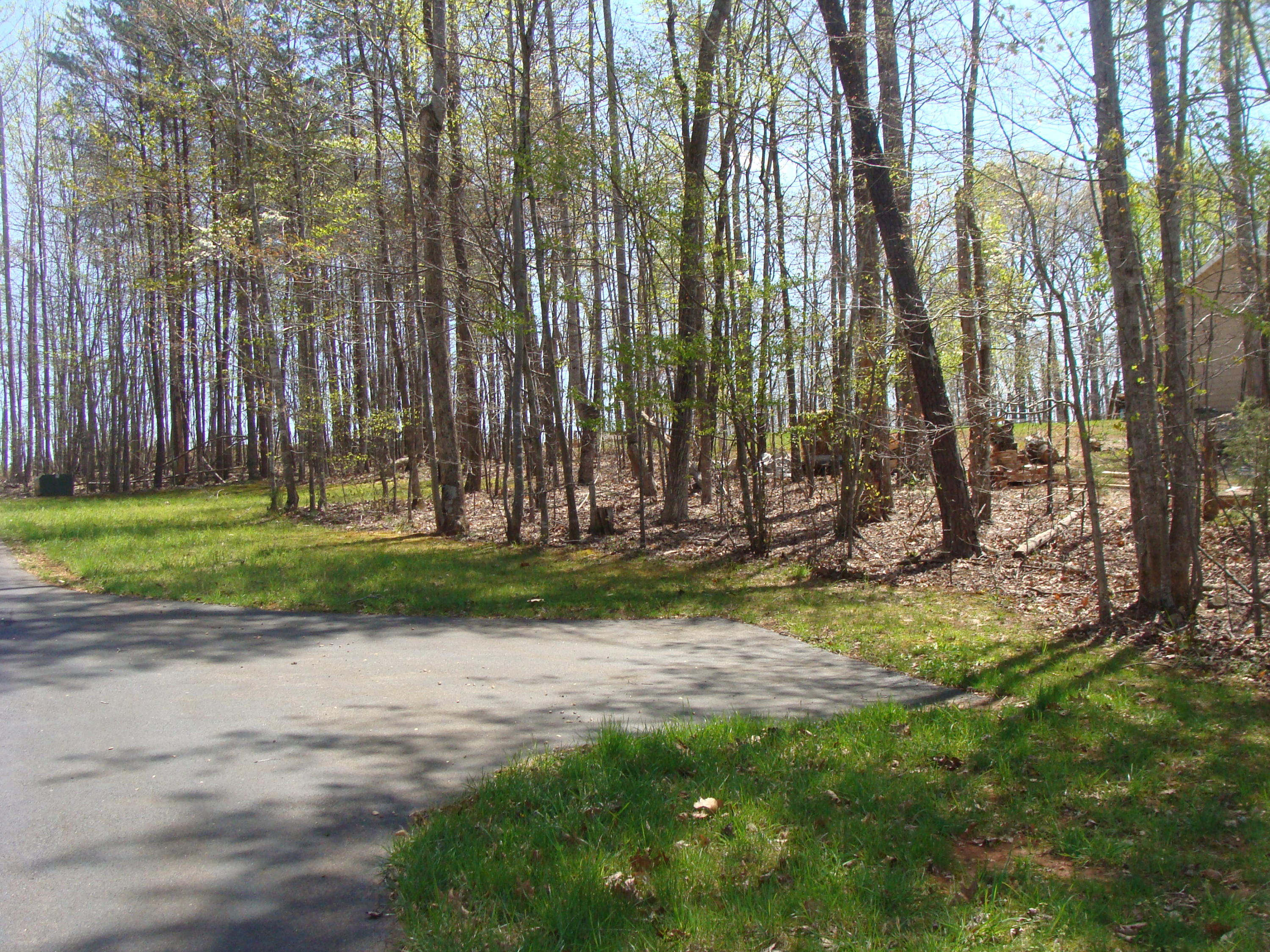1811 Cutlass Road Moneta, VA 24121 - Photo 11 of 33 Paved Driveway Turn Around