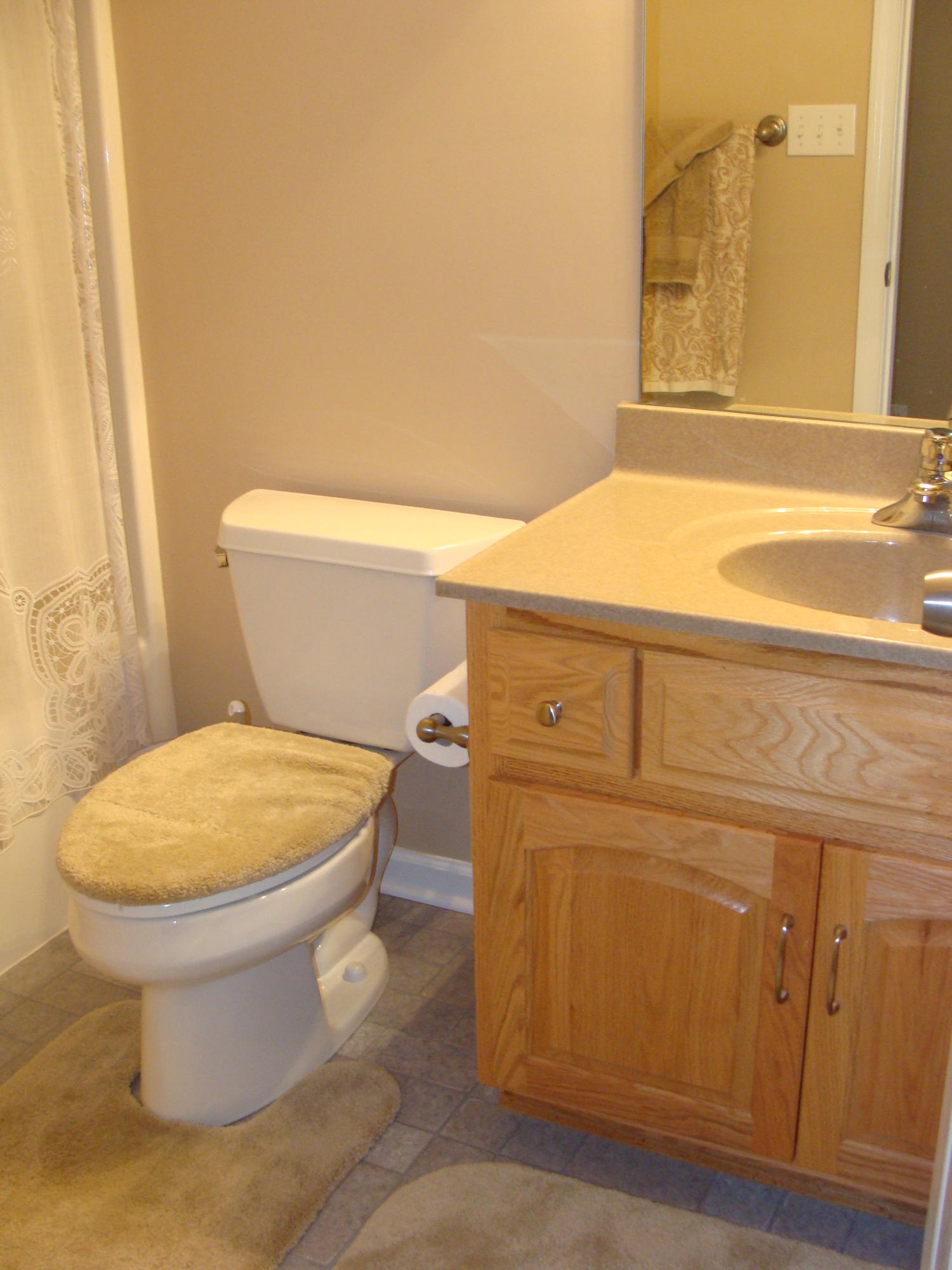 1811 Cutlass Road Moneta, VA 24121 - Photo 18 of 33 Hall Bathroom