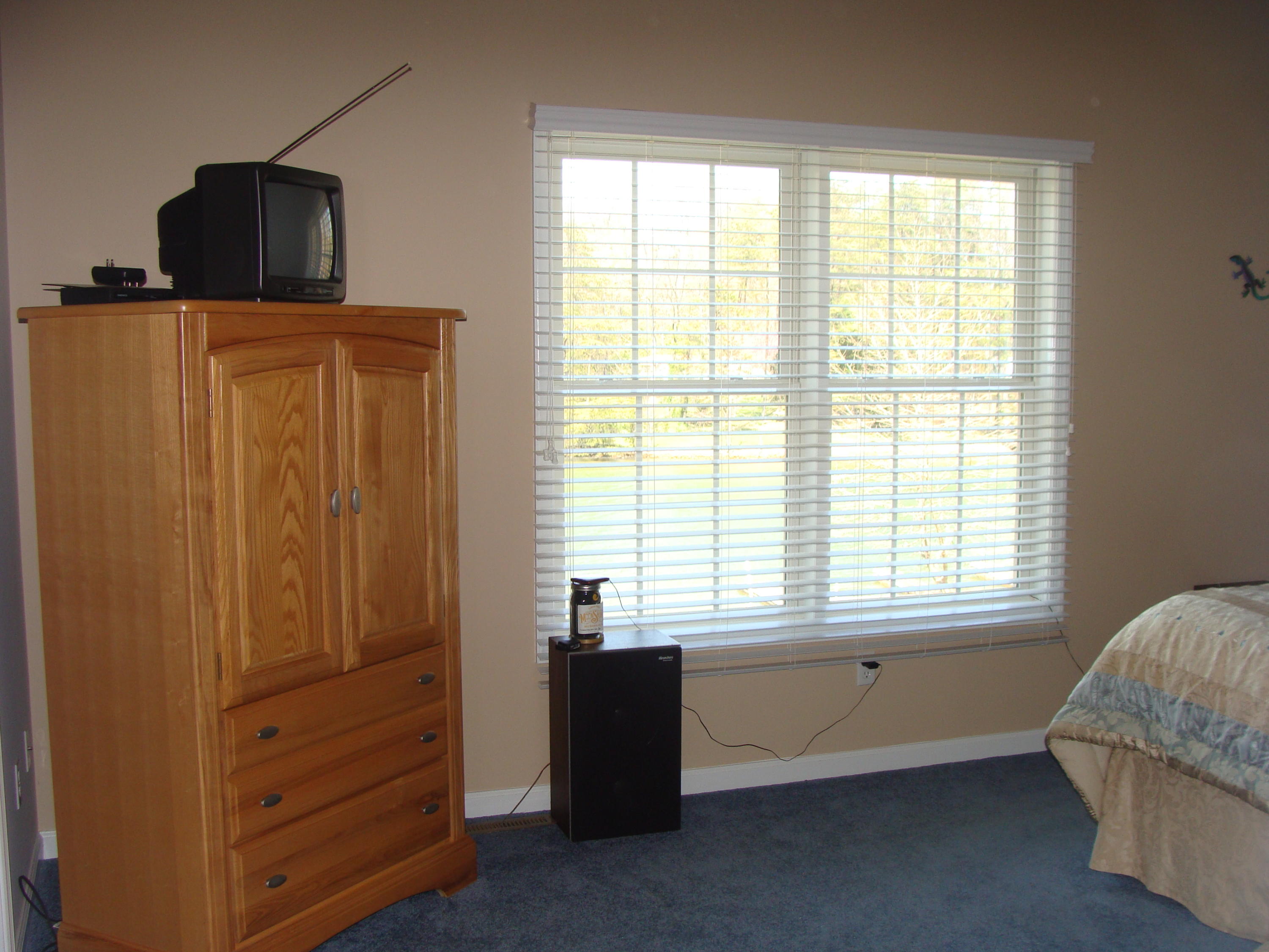 1811 Cutlass Road Moneta, VA 24121 - Photo 21 of 33 Master Bedroom