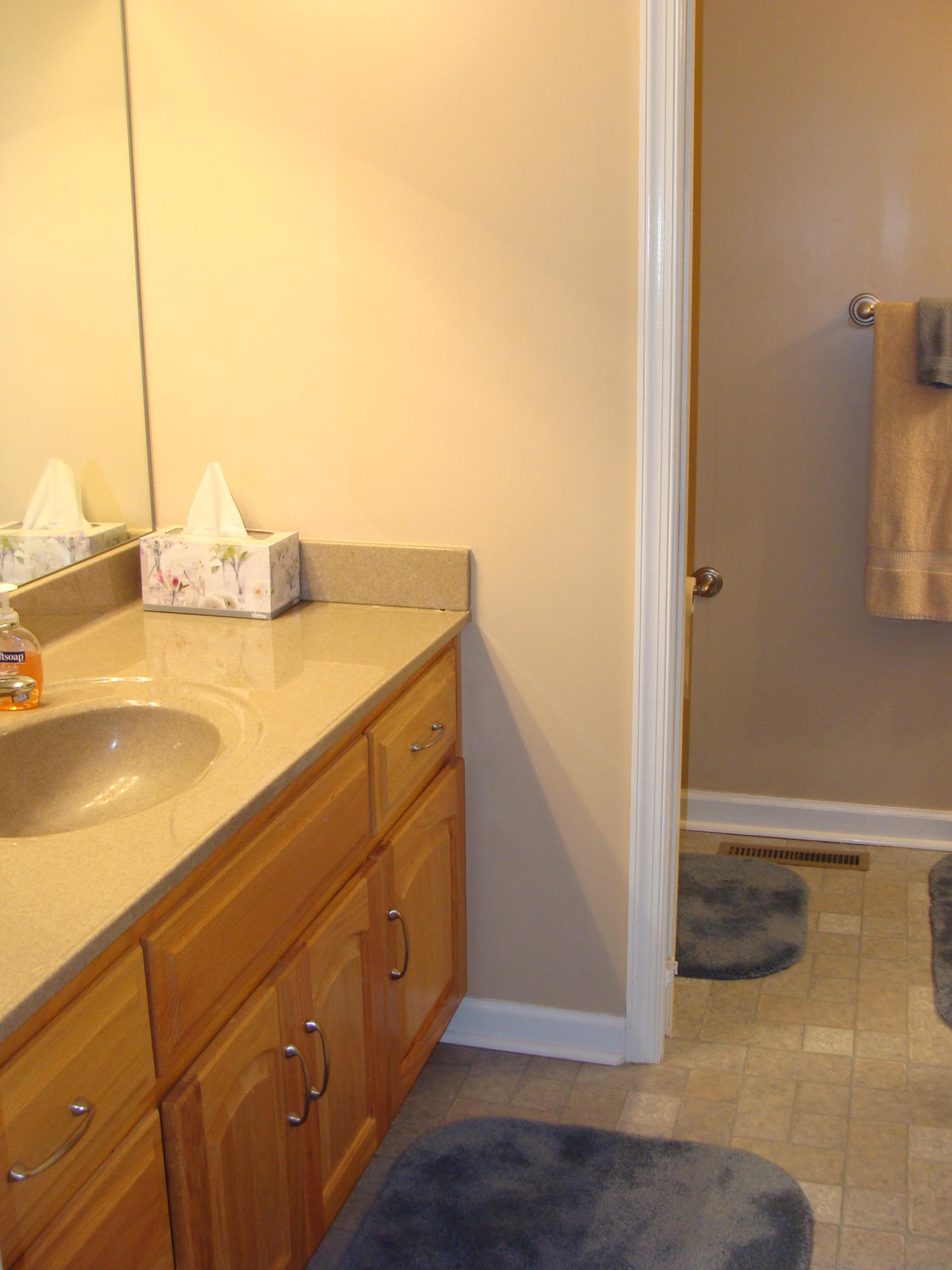 1811 Cutlass Road Moneta, VA 24121 - Photo 22 of 33 Master Bathroom