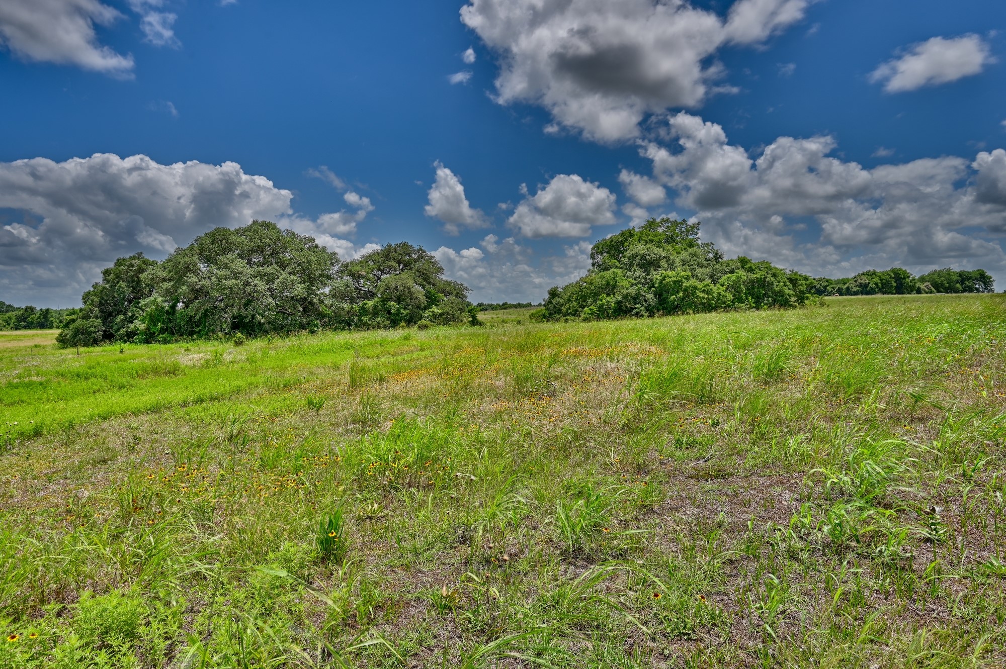 1552 Holub Road Schulenburg, TX 78956 - Photo 43 of 45