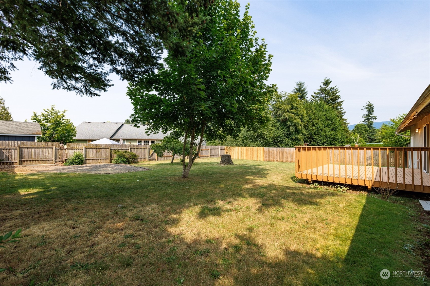 804 Chestnut Street Everson, WA 98247 - Photo 19 of 22 a view of backyard with green space