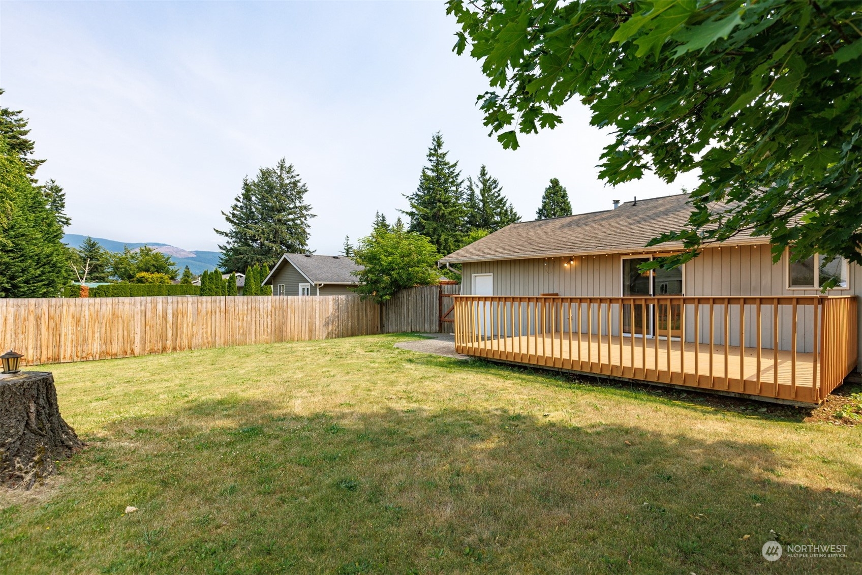 804 Chestnut Street Everson, WA 98247 - Photo 21 of 22 a view of a backyard with a small cabin