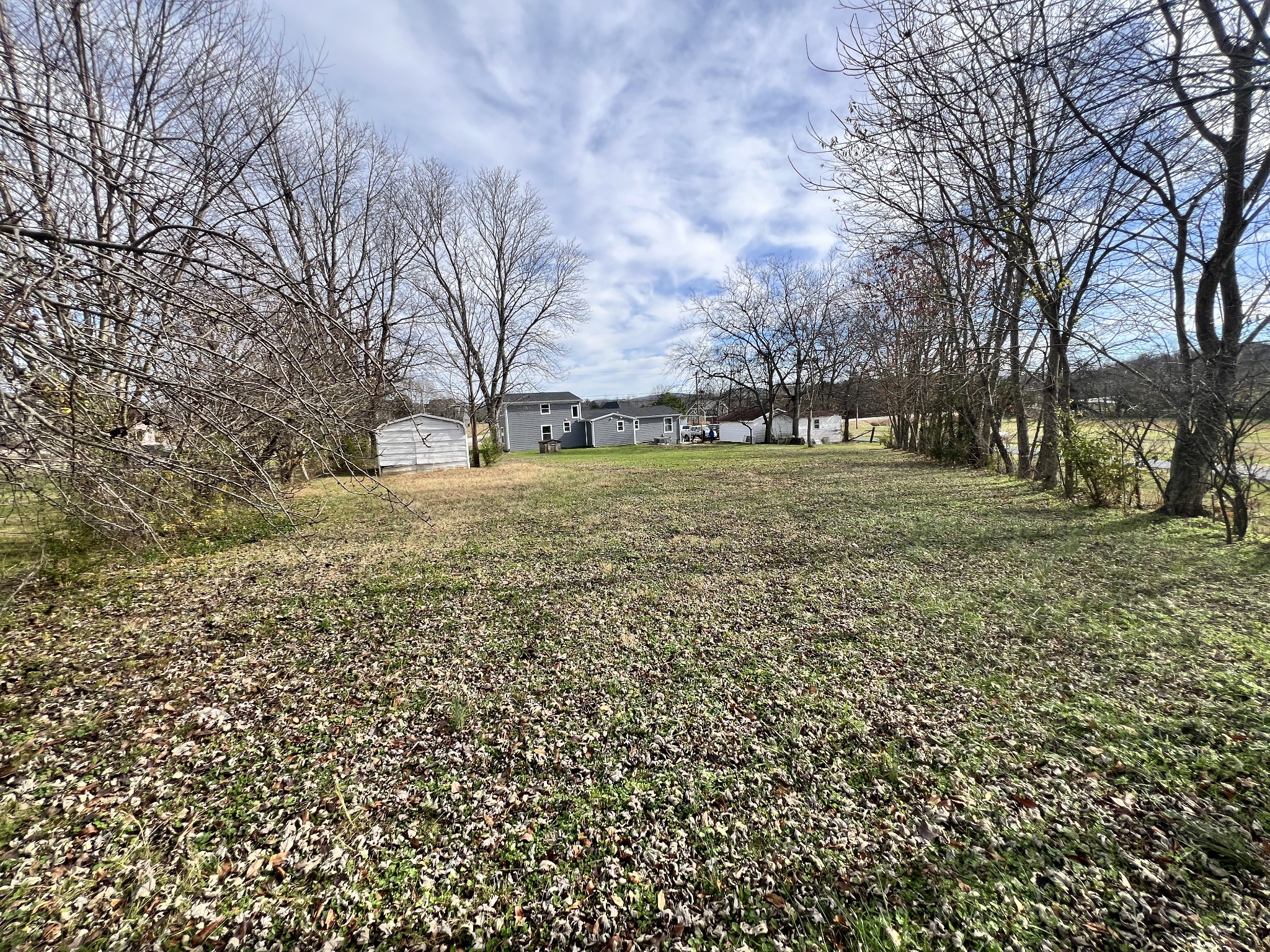 5890 Cainsville Road Lebanon, TN 37090 - Photo 50 of 59 a big yard with trees