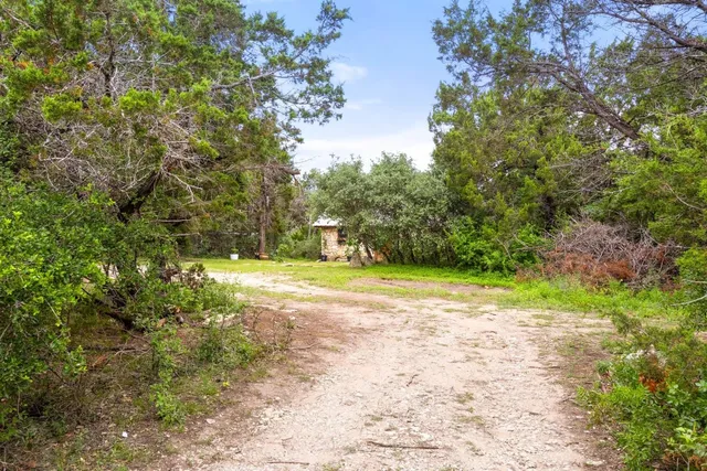 a view of a yard with a trees