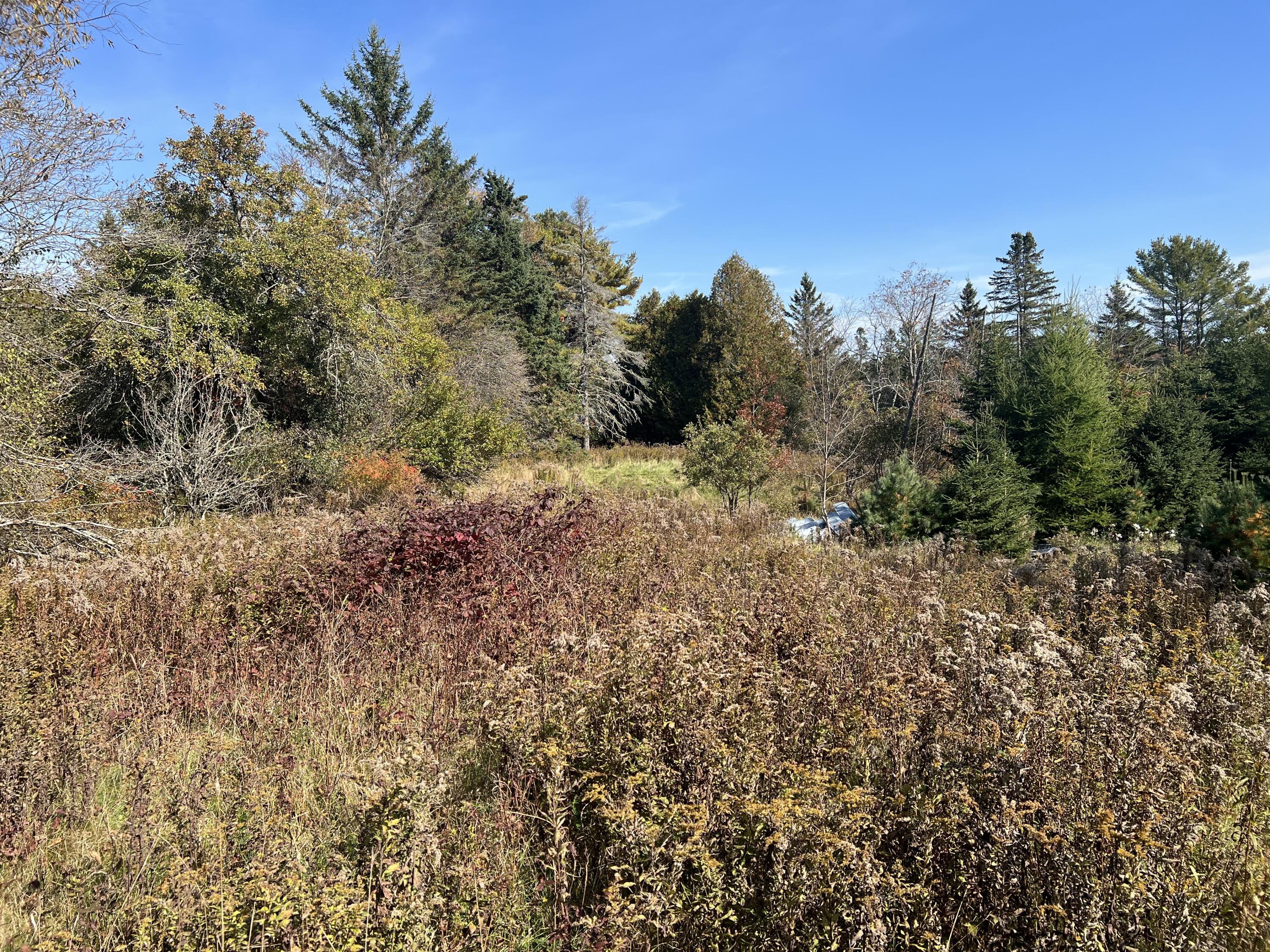 77 Cross Road Bucksport, ME 04416 - Photo 10 of 15 IMG_4132