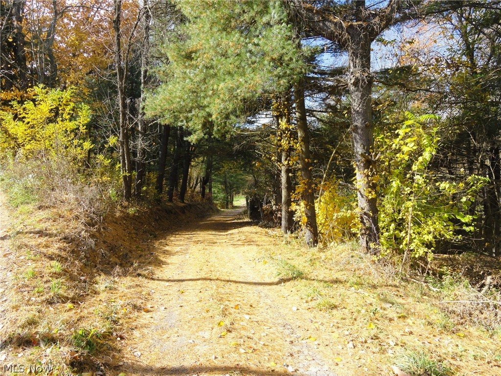 304 Mark's Run Road Chester, WV 26034 - Photo 3 of 35 Gallery Image 3