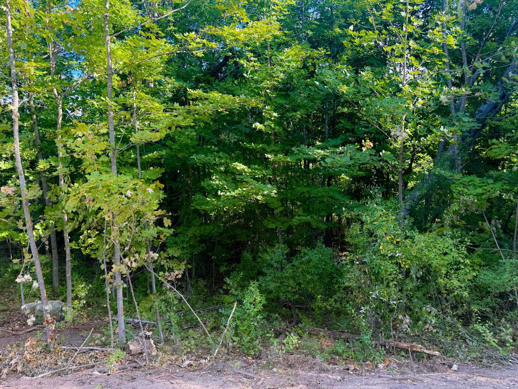 1 East Darga Road Cedar, MI 49621 - Photo 9 of 22 1949892-6ed19626-2885-47b7-afab-78ca0bea7df6.JPG