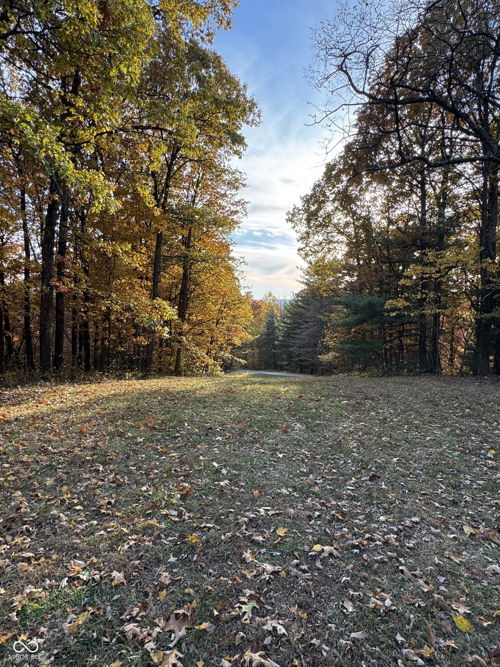 1867 Dynasty Ridge Road Martinsville, IN 46151 - Photo 13 of 14 Gallery Image 13