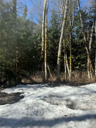 $70,000 | 87236 Northeast Old Cascade Highway, Skykomish, WA 98288