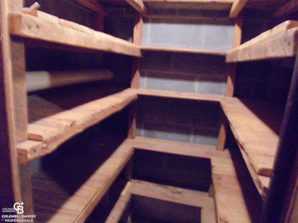 9187 Springborn Road Casco, MI 48064 - Photo 30 of 60 Fruit Cellar