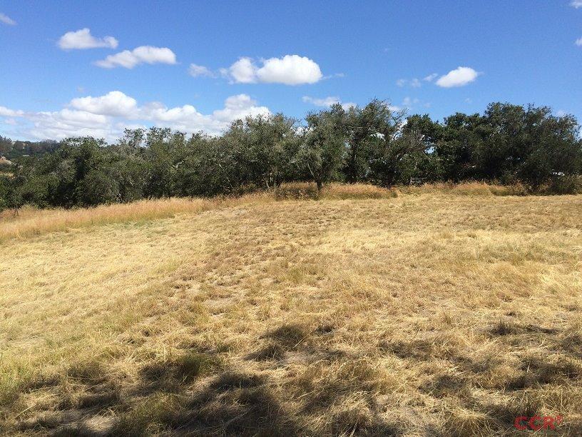 0 Old Oak Park Road Arroyo Grande, CA 93420 - Photo 12 of 15 Additional Photo