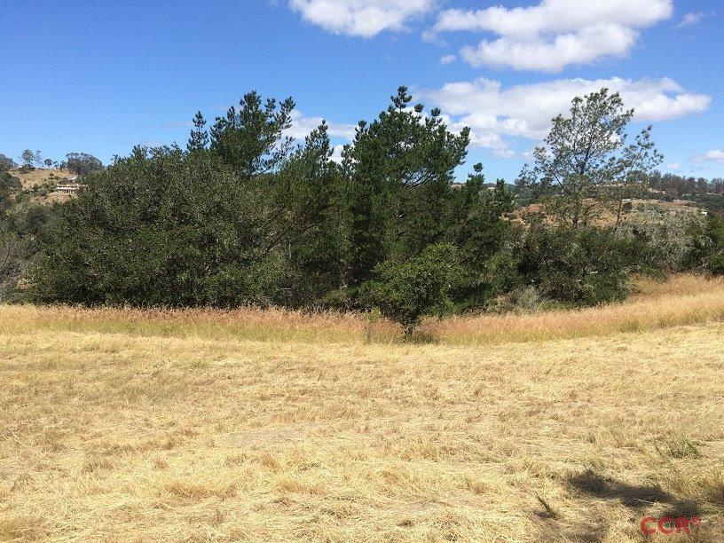 0 Old Oak Park Road Arroyo Grande, CA 93420 - Photo 13 of 15 Additional Photo