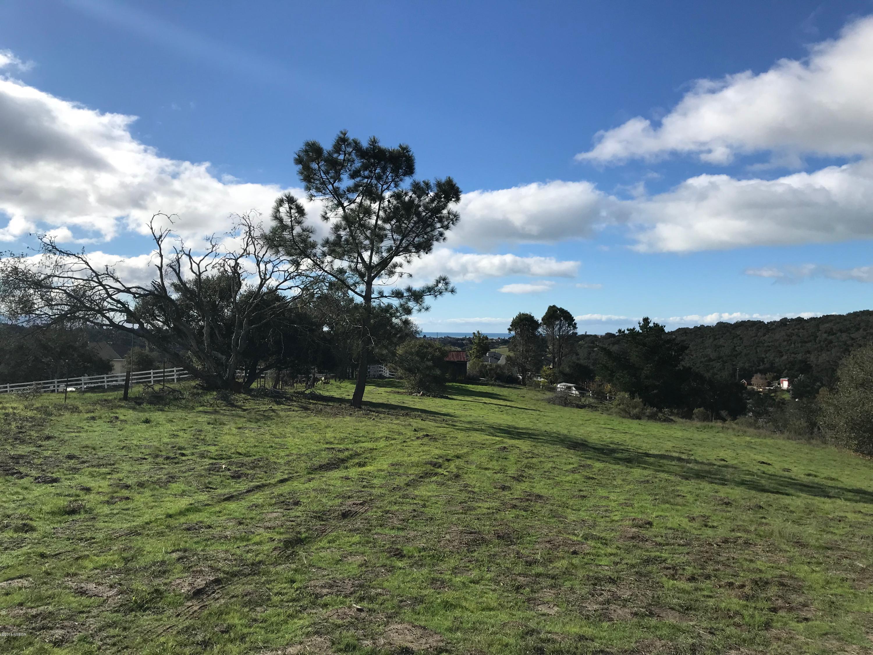 0 Old Oak Park Road Arroyo Grande, CA 93420 - Photo 2 of 15 IMG_4171