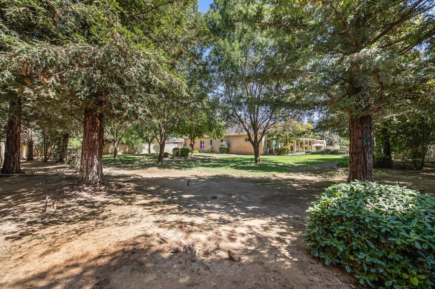12636 Appaloosa Road Madera, CA 93636 - Photo 50 of 55