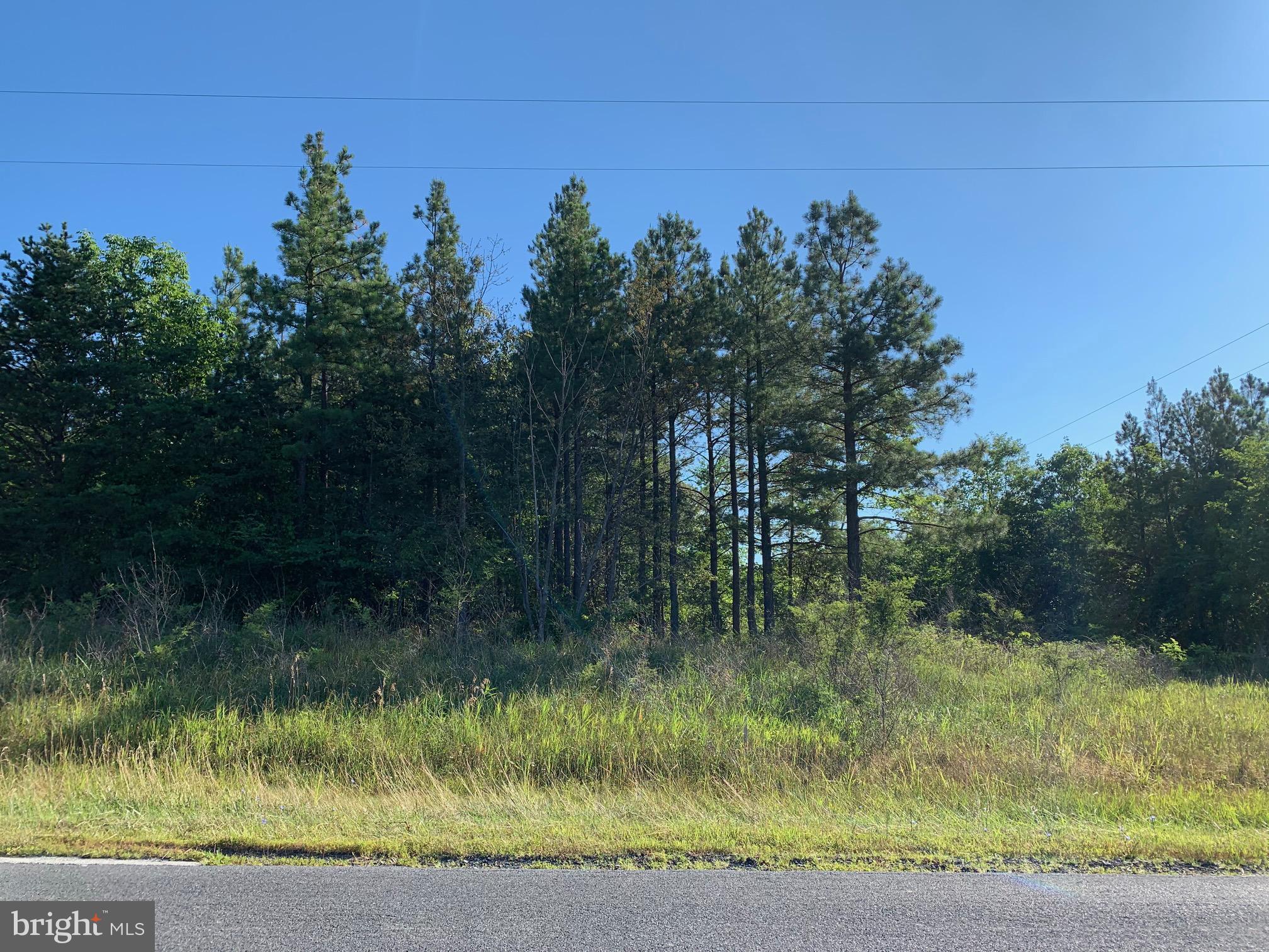 Lot 3 Redland Road Cross Junction, VA 22625 - Photo 1 of 4