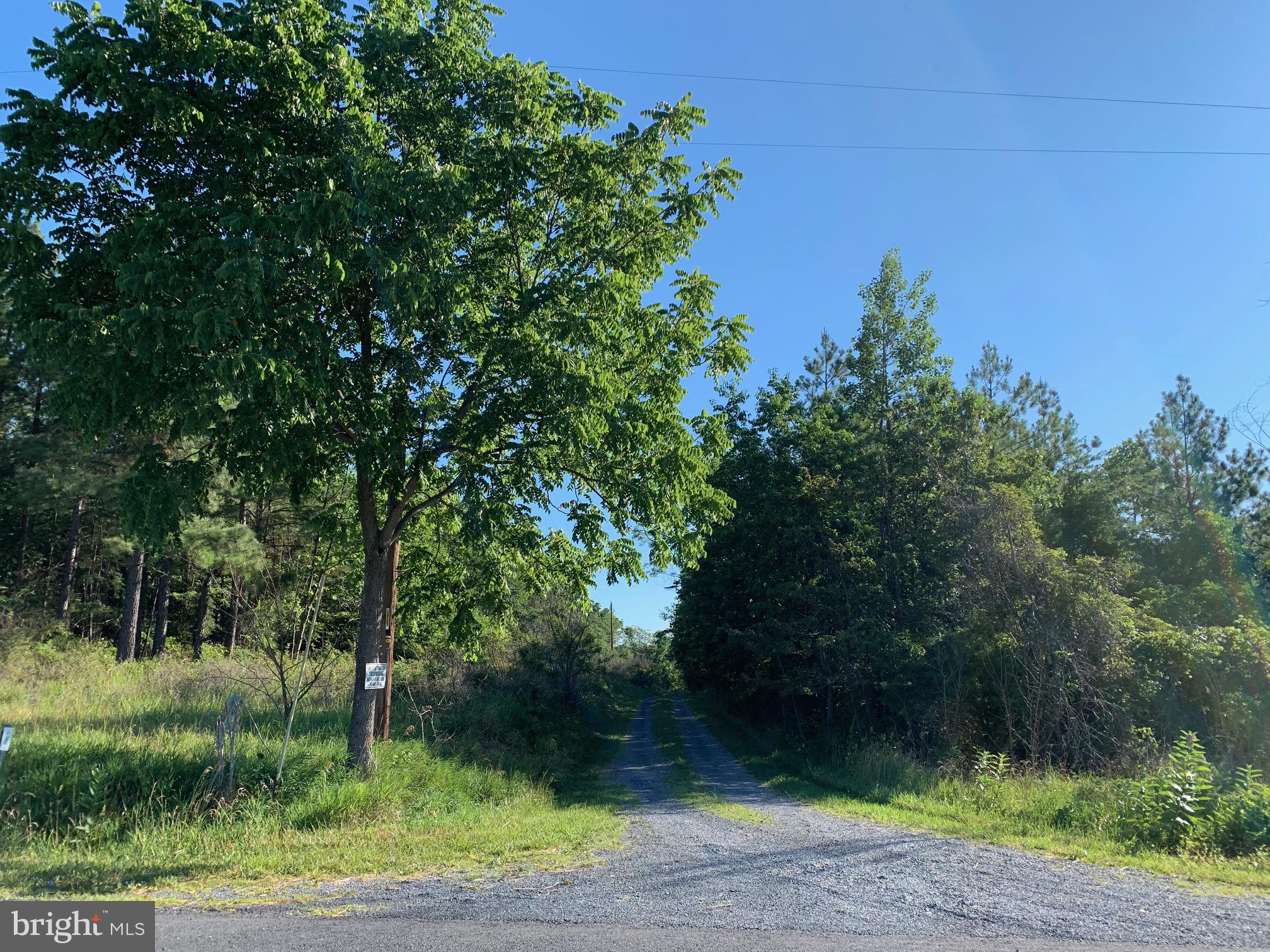 Lot 3 Redland Road Cross Junction, VA 22625 - Photo 2 of 4