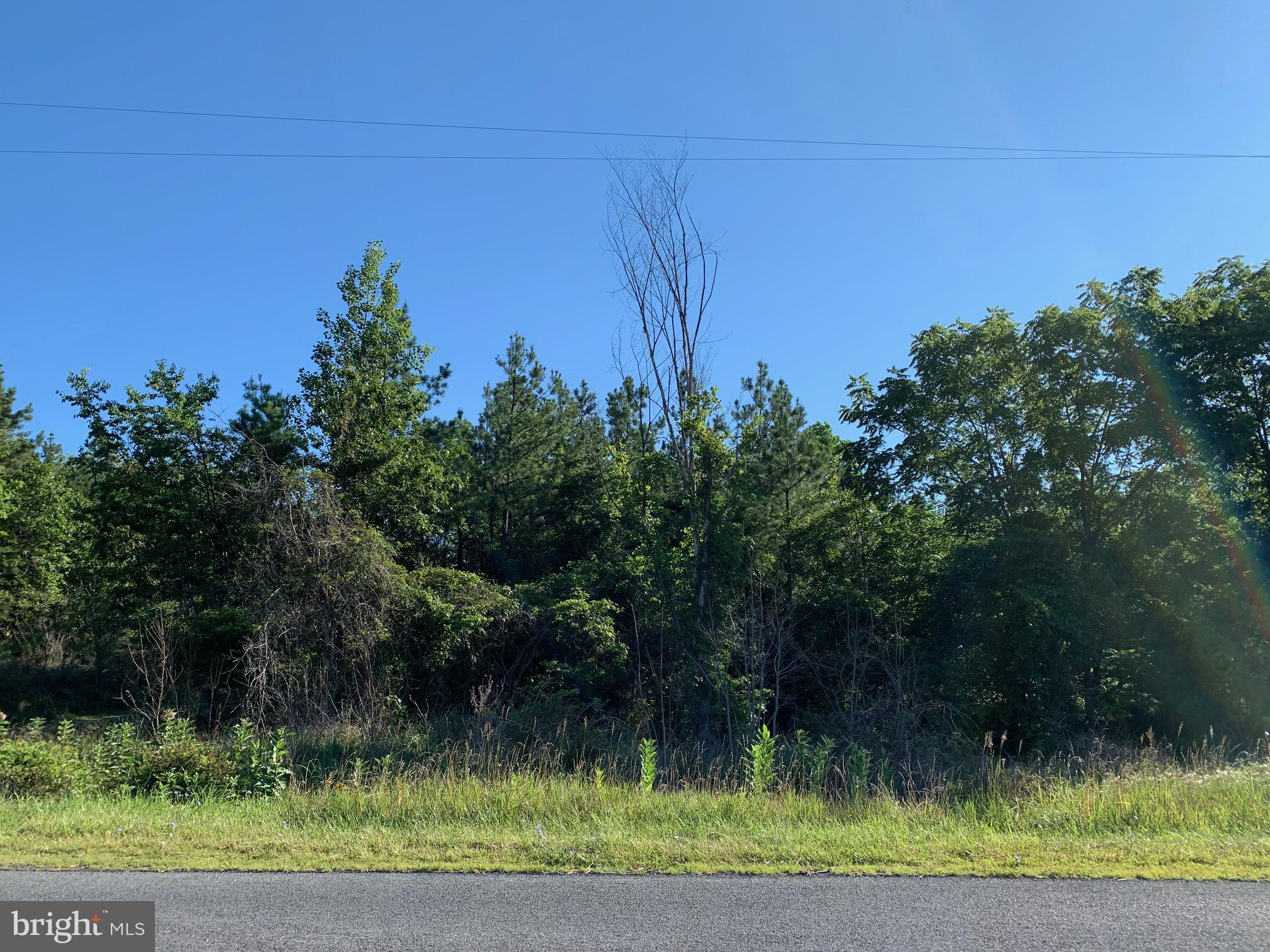 Lot 3 Redland Road Cross Junction, VA 22625 - Photo 3 of 4