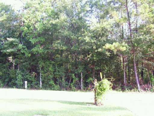 0 Vineyard Road Hammond, LA 70401 - Photo 3 of 5 Gallery Image 3