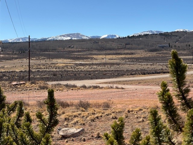 1344 Silver Heels Road Fairplay, CO 80440 - Photo 12 of 35