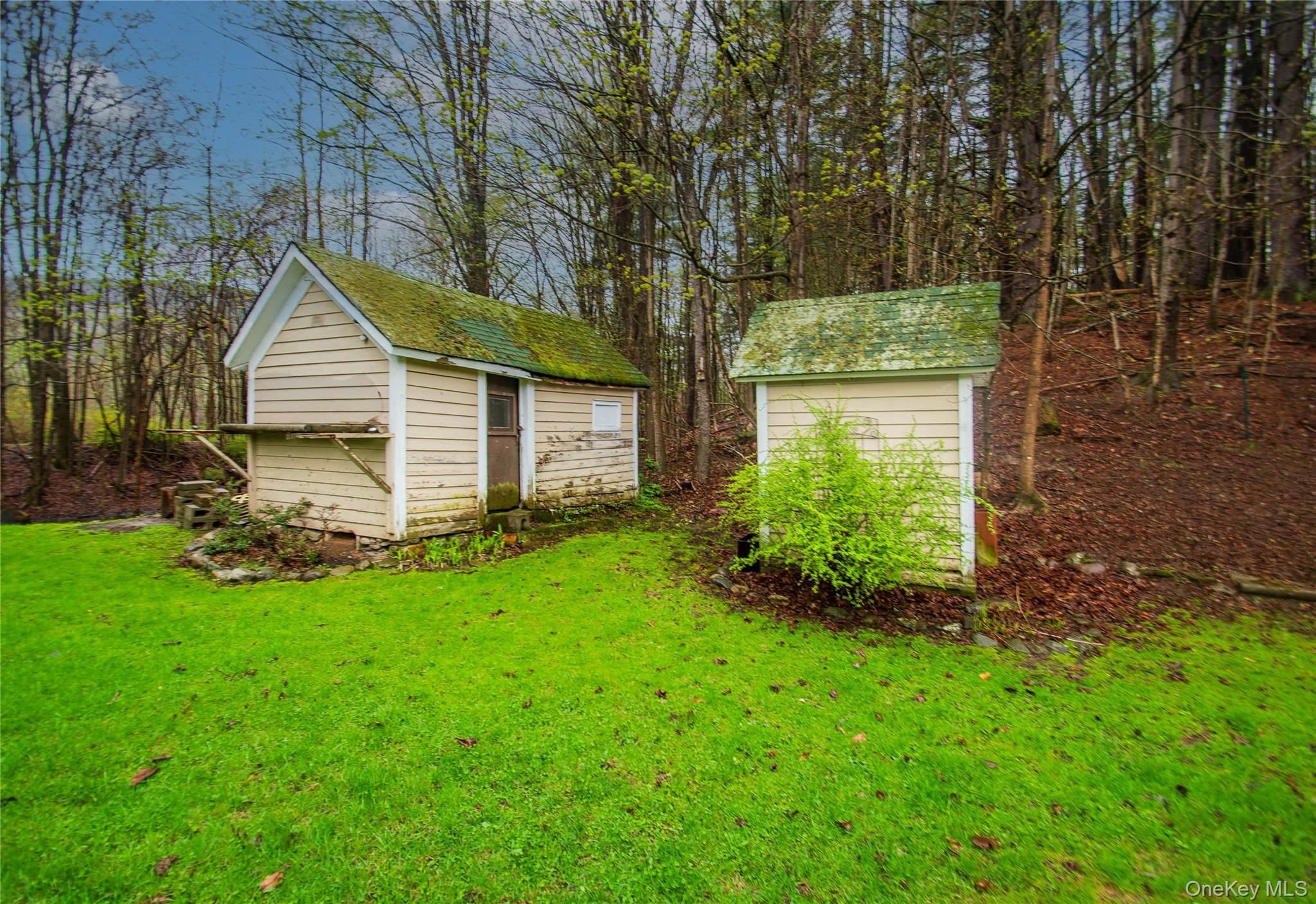 62 Thornton Road Wurtsboro, NY 12790 - Photo 6 of 30 a view of a house with a backyard