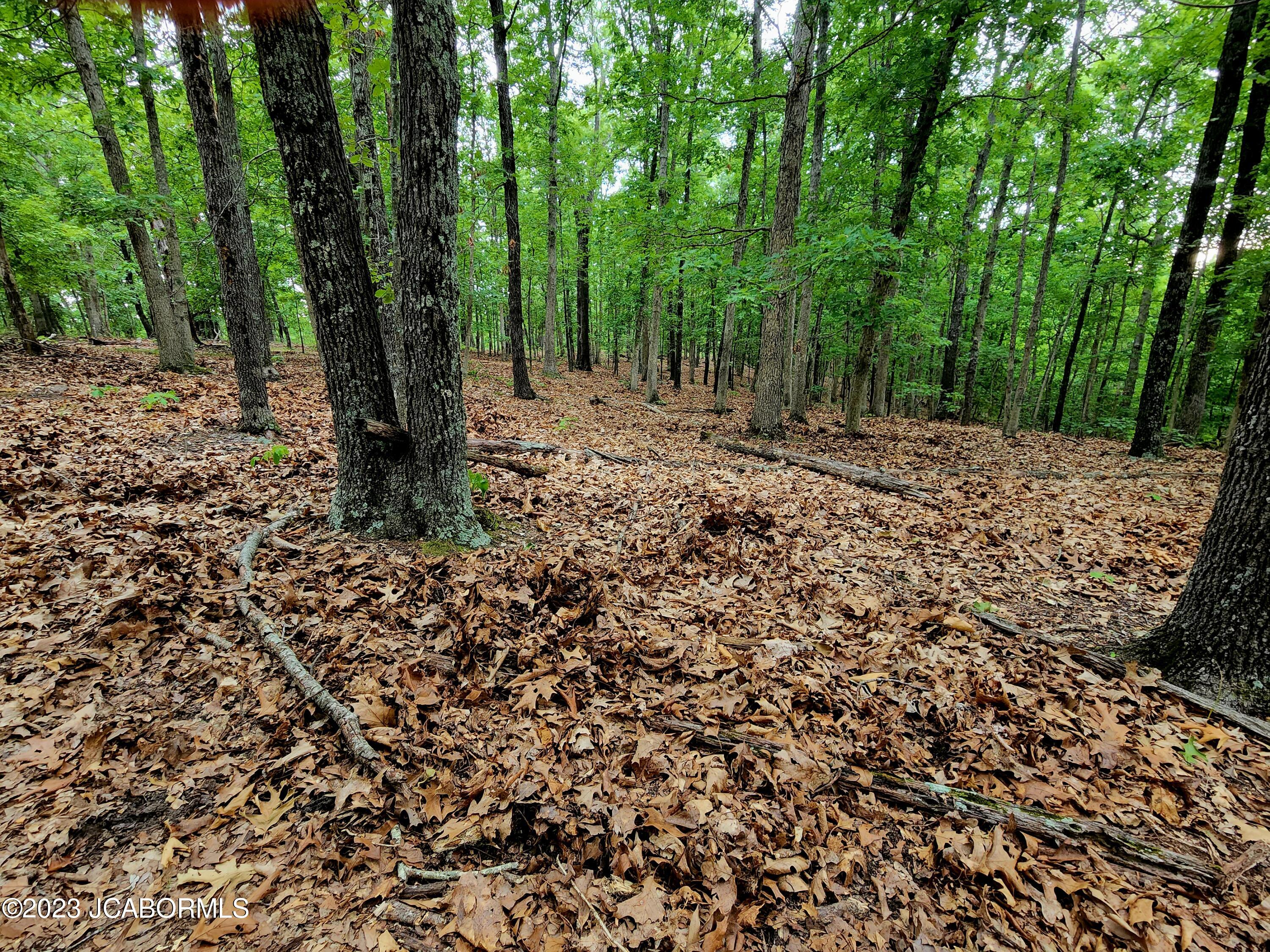 Lot 8 Copperstone Road Camdenton, MO 65020 - Photo 4 of 5