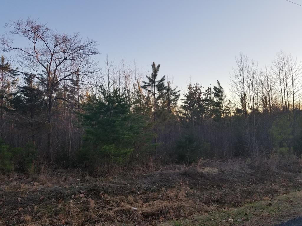 Chestnut Grove Road, Unit D Appomattox, VA 24522 - Photo 1 of 1 Gallery Image 1