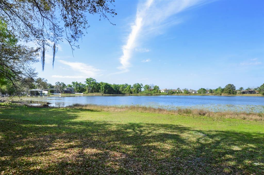 3636 Lake Buynak Road Windermere, FL 34786 - Photo 3 of 32