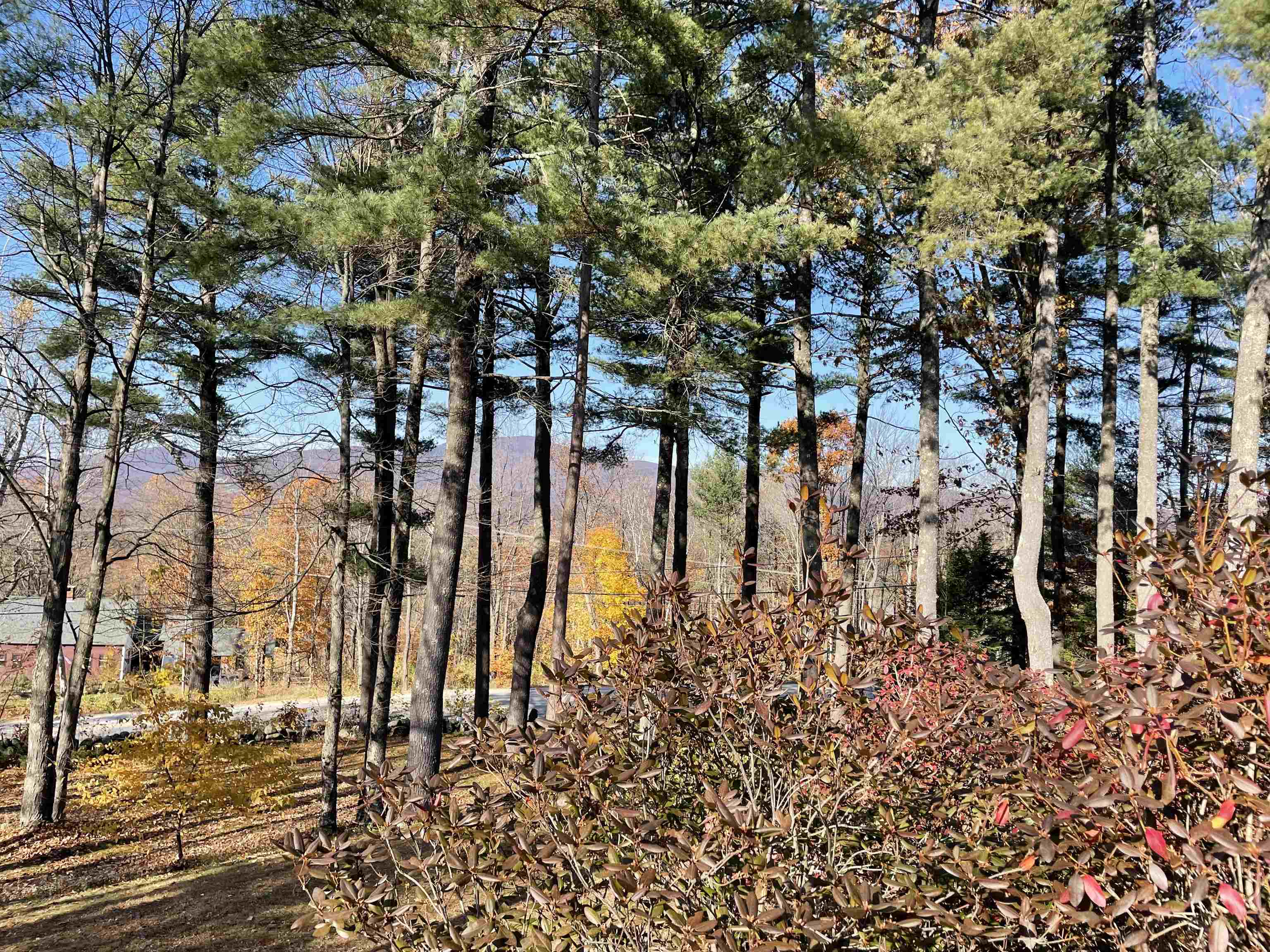 1 Schoolhouse Road Tuftonboro, NH 03816 - Photo 5 of 25 Gallery Image 5