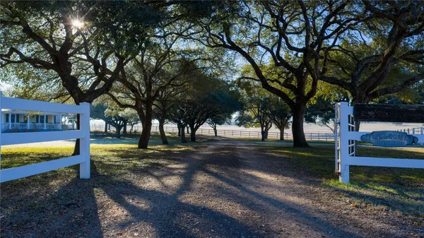 a view of a yard with tree s