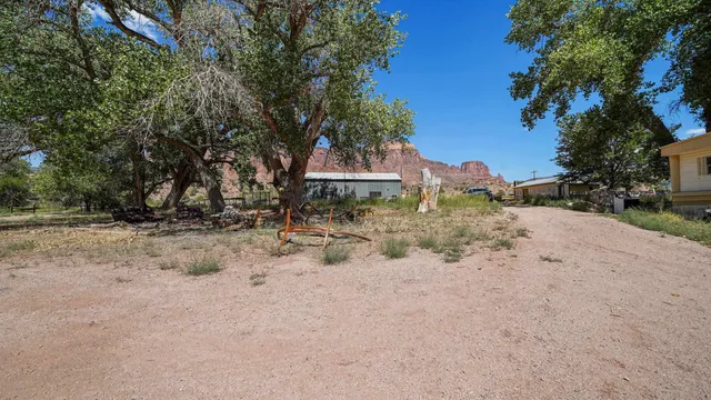 a view of a yard with a tree