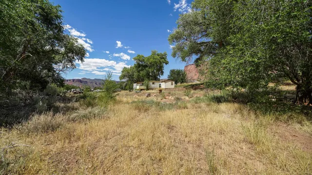 a view of a lake with a tree in the background