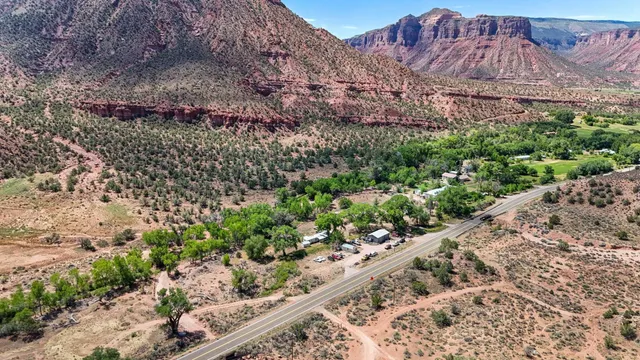 a view of a garden with a mountain