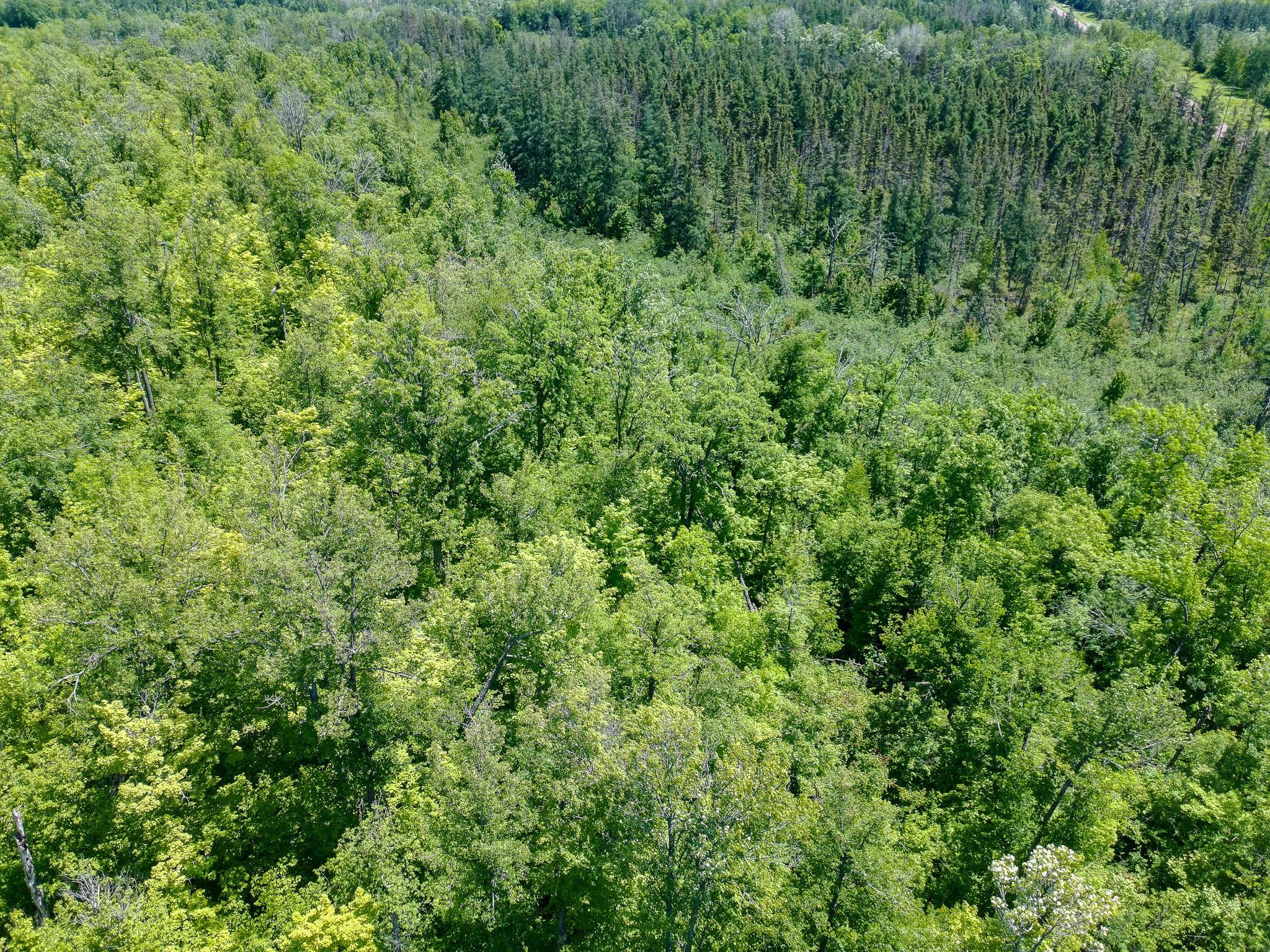 Tbd Oak Leaf Road Kerrick, MN 55756 - Photo 13 of 19