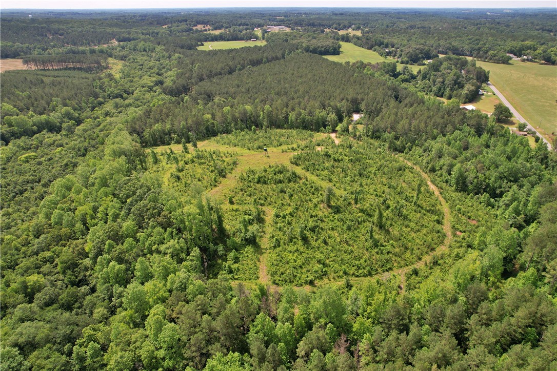 Lot 1 Mill Pine Road Central, SC 29630 - Photo 11 of 16 Gallery Image 11