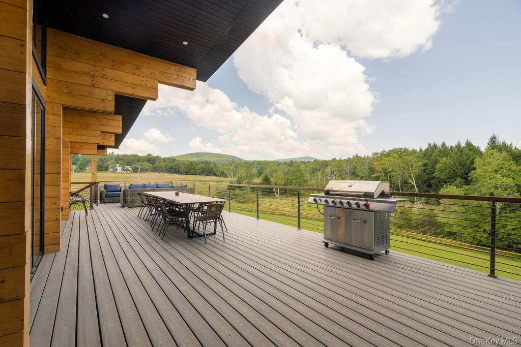 208 Mill Street Windham, NY 12496 - Photo 33 of 47