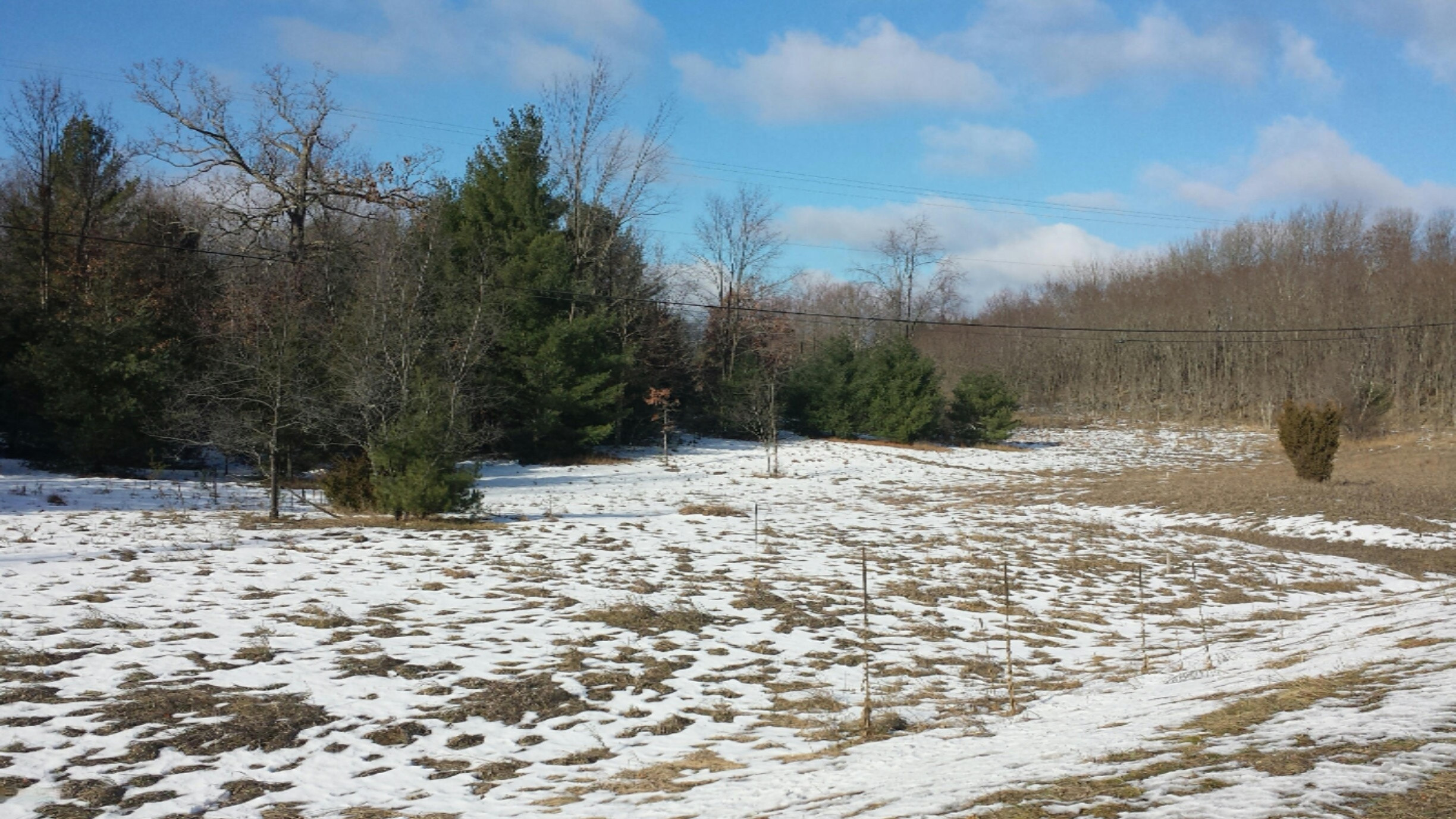 150 South County Line Road Manistee, MI 49660 - Photo 21 of 25 20141211_113444_resized
