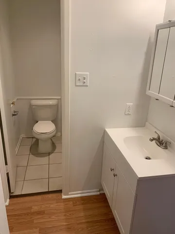 a bathroom with a sink and a toilet